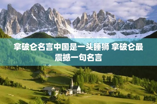 拿破仑名言中国是一头睡狮 拿破仑最震撼一句名言