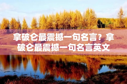 拿破仑最震撼一句名言？拿破仑最震撼一句名言英文