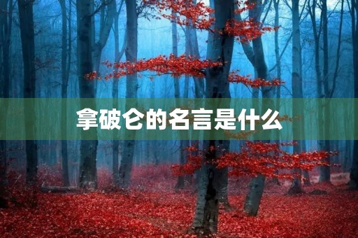 拿破仑的名言是什么，拿破仑的名言是什么意思
