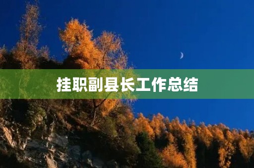 挂职副县长工作总结 挂职副县长工作总结
