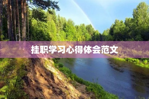挂职学习心得体会范文