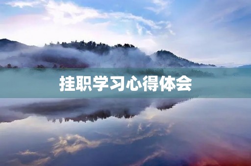 挂职学习心得体会