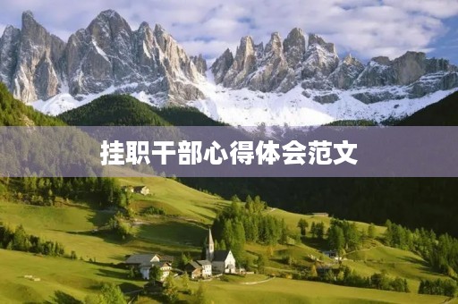 挂职干部心得体会范文