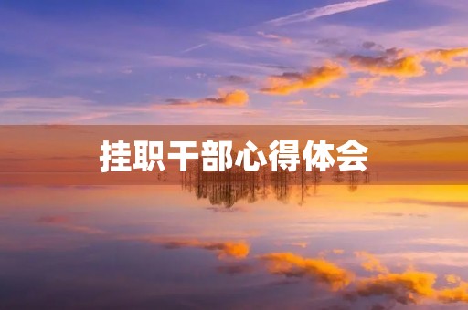 挂职干部心得体会 挂职干部心得体会