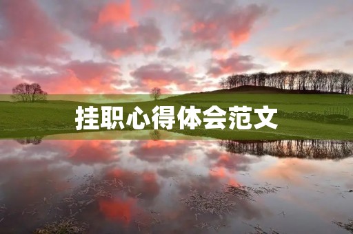 挂职心得体会范文