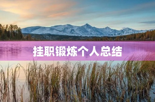 挂职锻炼个人总结 挂职锻炼个人总结