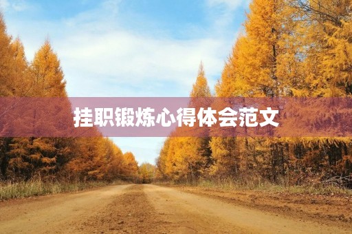 挂职锻炼心得体会范文
