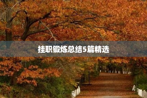 挂职锻炼总结5篇精选