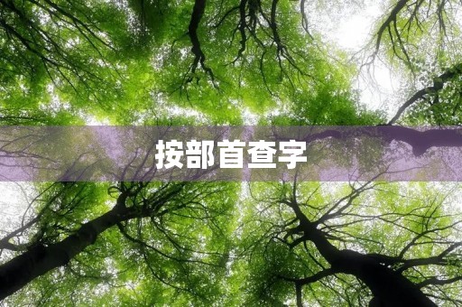 按部首查字(查字典) 按部首查字(查字典)