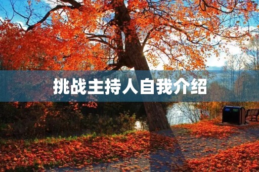 挑战主持人自我介绍