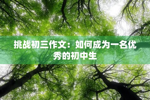 挑战初三作文：如何成为一名优秀的初中生