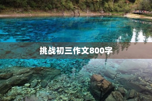 挑战初三作文800字 挑战初三作文800字
