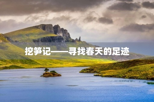 挖笋记——寻找春天的足迹