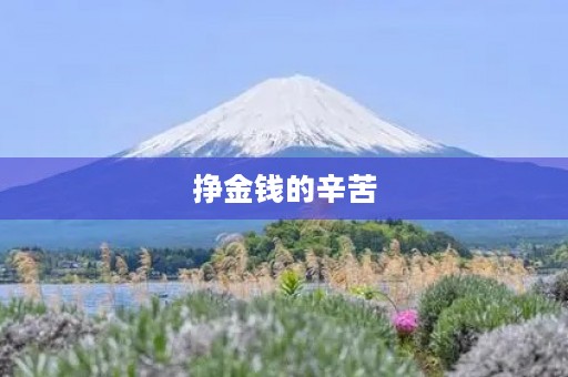挣金钱的辛苦