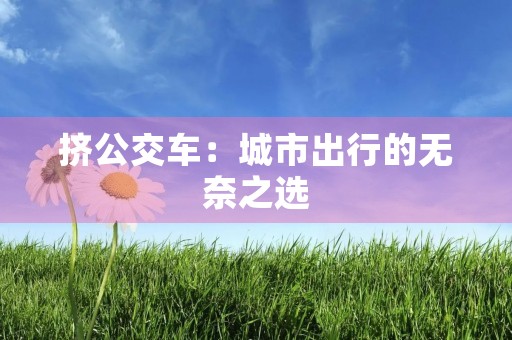 挤公交车：城市出行的无奈之选