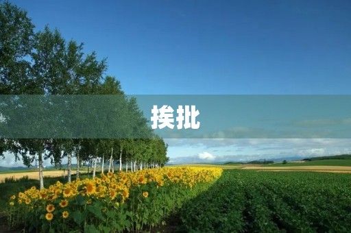 挨批 挨批