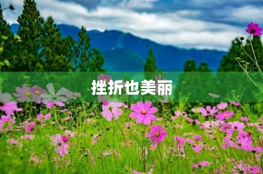 挫折也美丽 挫折也美丽