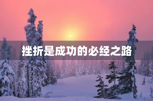 挫折是成功的必经之路