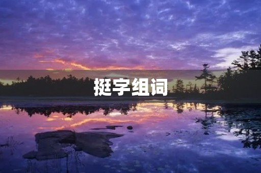 挺字组词(挺组词) 挺字组词(挺组词)