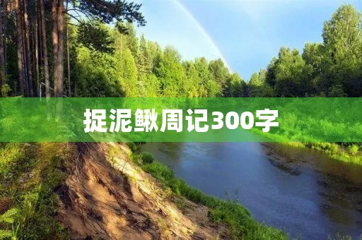 捉泥鳅周记300字 捉泥鳅周记300字