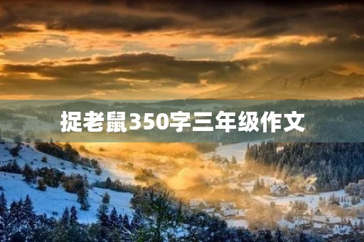 捉老鼠350字三年级作文 捉老鼠350字三年级作文