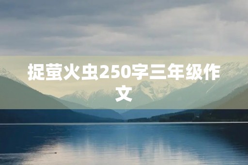 捉萤火虫250字三年级作文 捉萤火虫250字三年级作文
