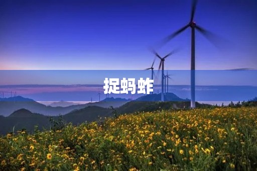 捉蚂蚱 捉蚂蚱