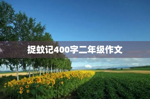捉蚊记400字二年级作文