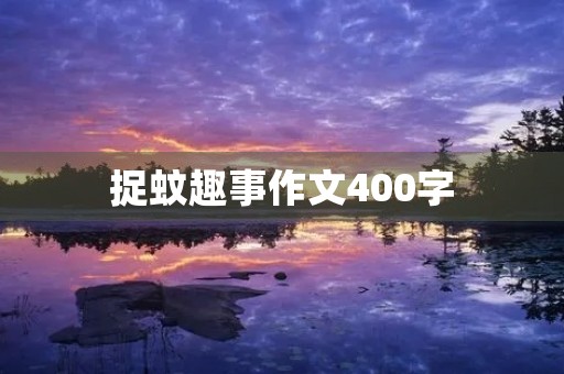 捉蚊趣事作文400字 捉蚊趣事作文400字