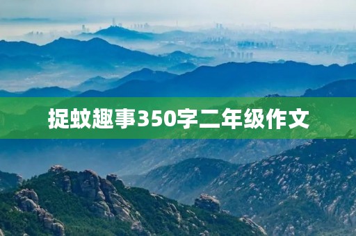 捉蚊趣事350字二年级作文
