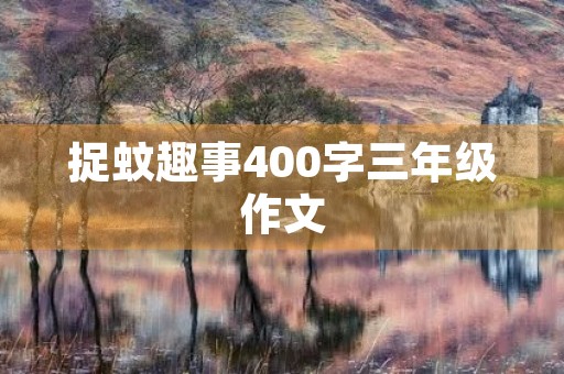 捉蚊趣事400字三年级作文
