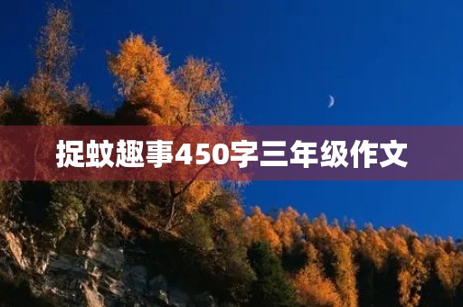 捉蚊趣事450字三年级作文 捉蚊趣事450字三年级作文