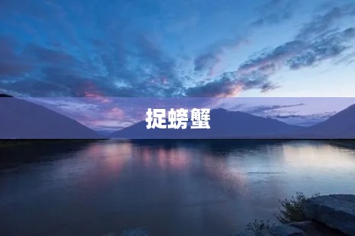 捉螃蟹