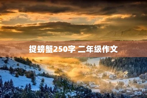 捉螃蟹250字 二年级作文