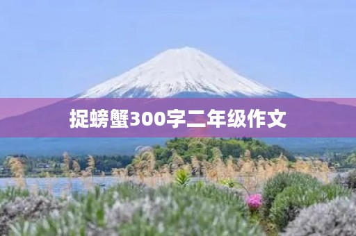 捉螃蟹300字二年级作文