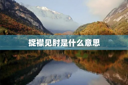 捉襟见肘是什么意思 捉襟见肘是什么意思