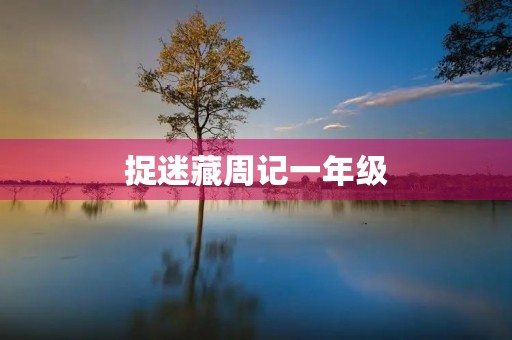 捉迷藏周记一年级