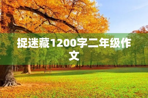 捉迷藏1200字二年级作文