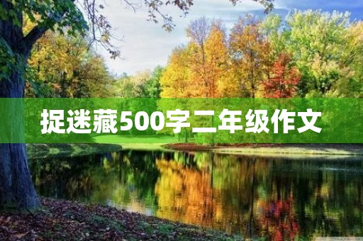捉迷藏500字二年级作文