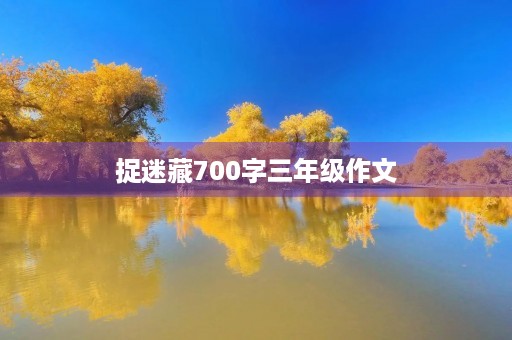 捉迷藏700字三年级作文
