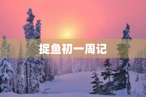 捉鱼初一周记