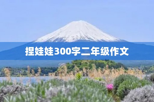 捏娃娃300字二年级作文