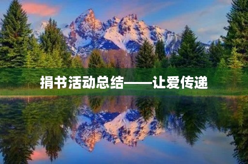 捐书活动总结——让爱传递，书香永留