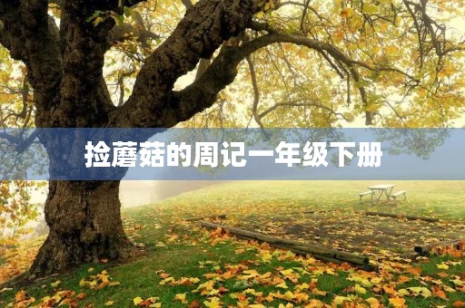 捡蘑菇的周记一年级下册 捡蘑菇的周记一年级下册