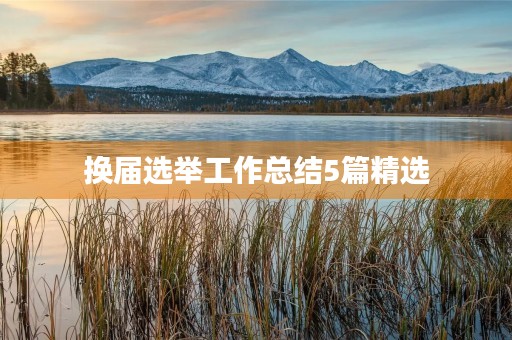 换届选举工作总结5篇精选