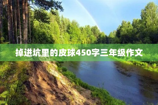 掉进坑里的皮球450字三年级作文