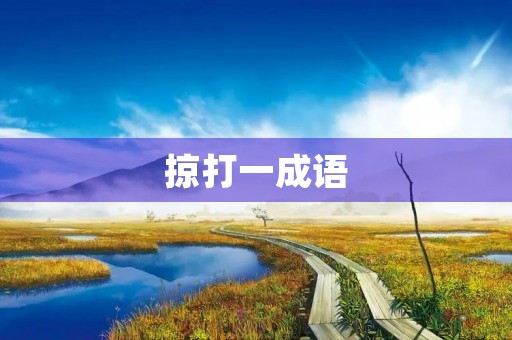 掠打一成语,揭示智慧与勇气的融合之道 掠打一成语,揭示智慧与勇气的融合之道