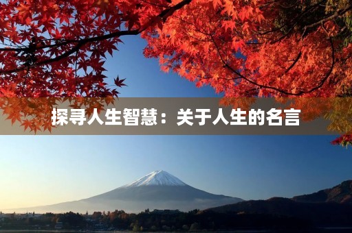 探寻人生智慧：关于人生的名言
