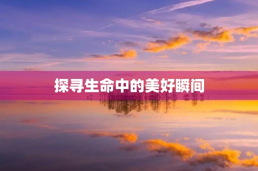 探寻生命中的美好瞬间 探寻生命中的美好瞬间
