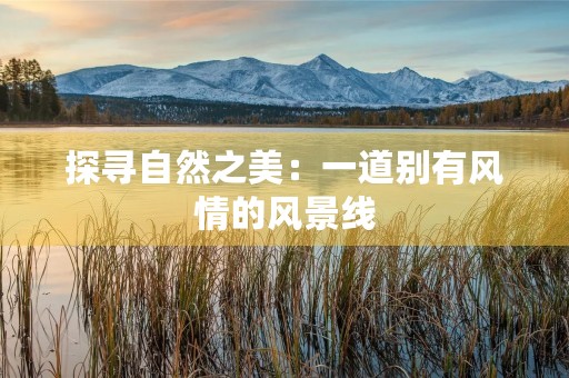 探寻自然之美:一道别有风情的风景线 探寻自然之美:一道别有风情的风景线